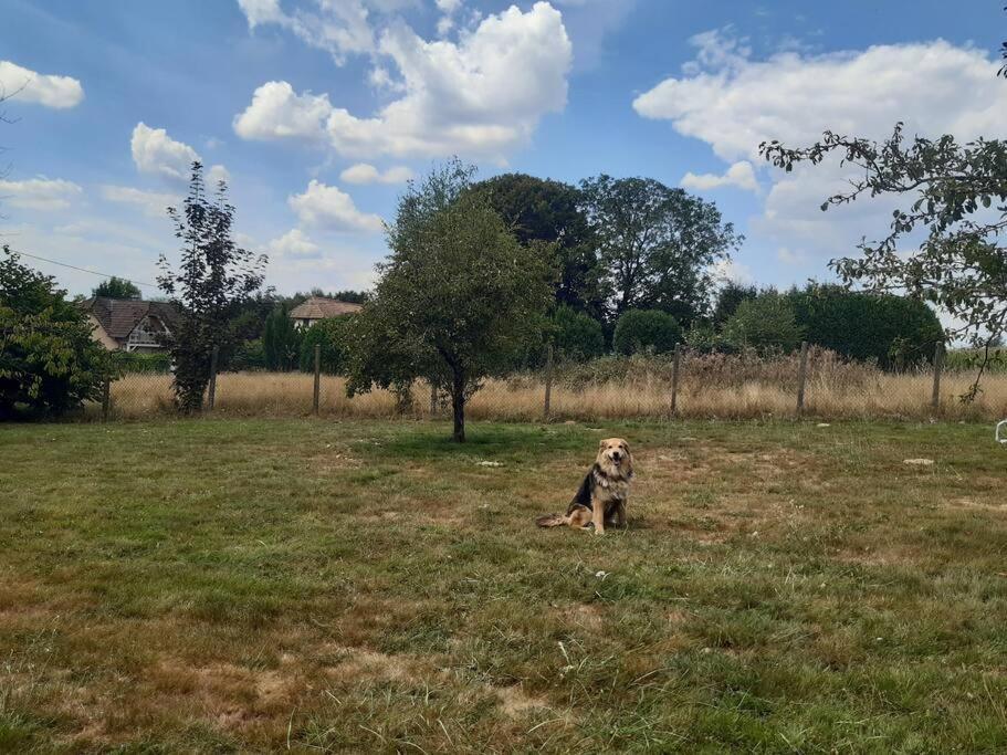 Gite De La P'Tite Rainette Villa Grosne Kültér fotó